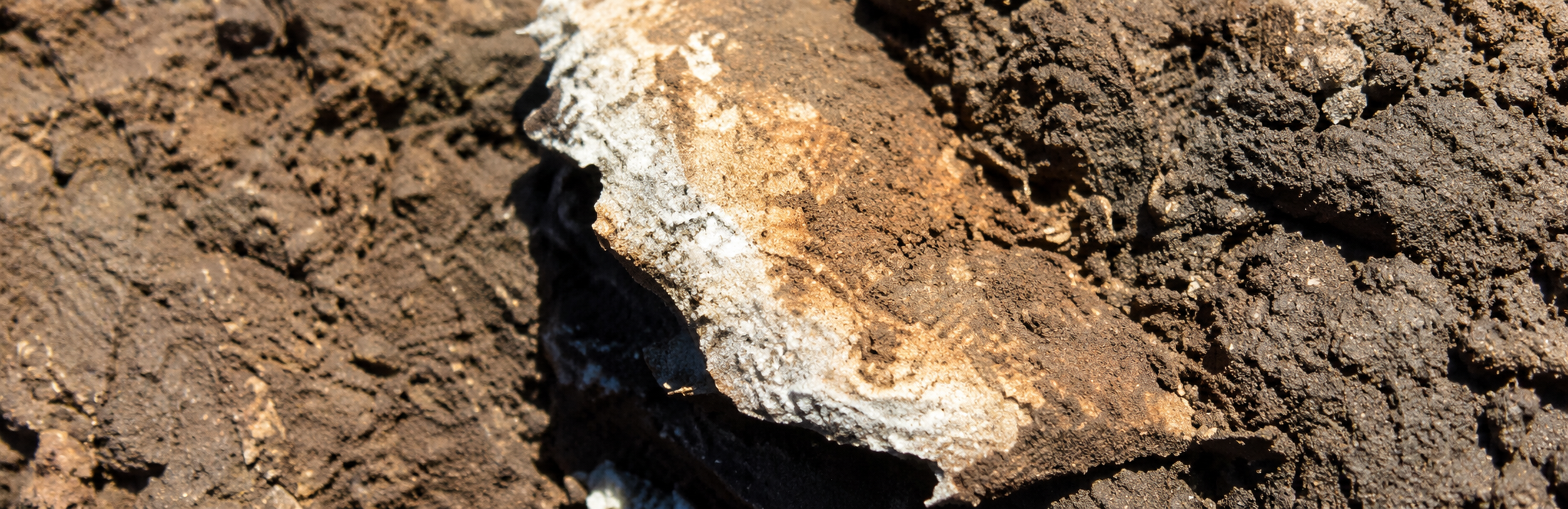 Remediation Reporting